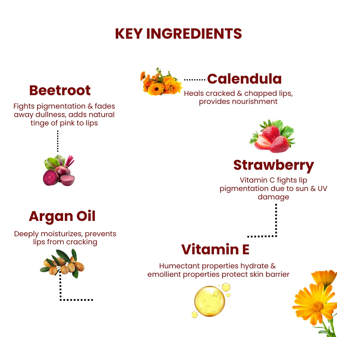 AMEYAA Nourishing Lip Balm