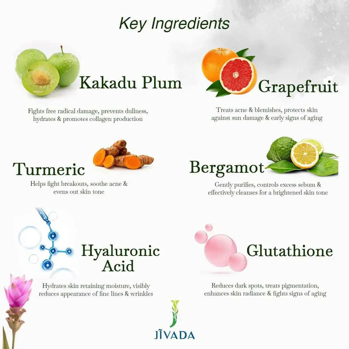 AMEYAA Age Gracefully Face Serum