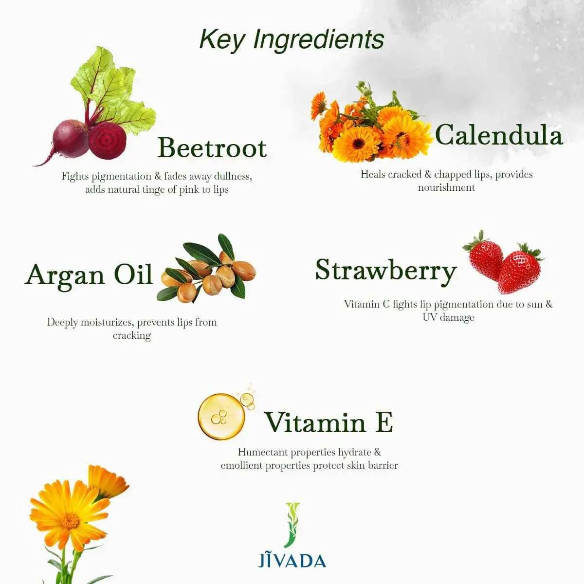 AMEYAA Nourishing Lip Balm