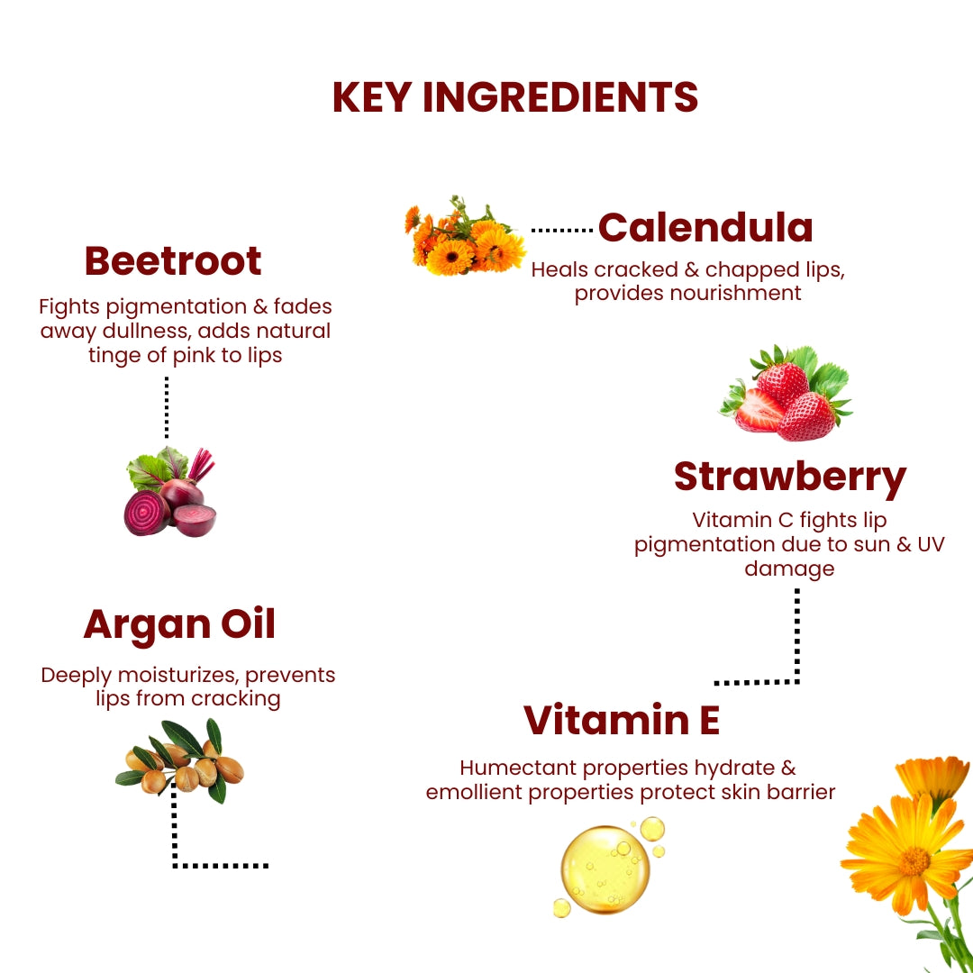 AMEYAA Nourishing Lip Balm